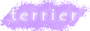 Ă肠